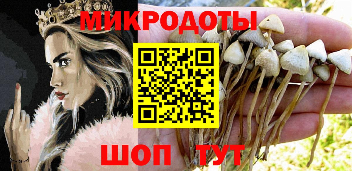 Симферополь  Псилоцибиновые грибы Cubensis  Галлюциногенные грибы прущие грибы  Вход с VPN 